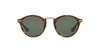 Persol Calligrapher Edition PO3166S Dark Tortoise/Green #colour_dark-tortoise-green