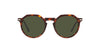 Persol PO3281S Havana/Green #colour_havana-green