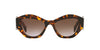 Prada SPR07Y Honey Havana/Brown Gradient #colour_honey-havana-brown-gradient