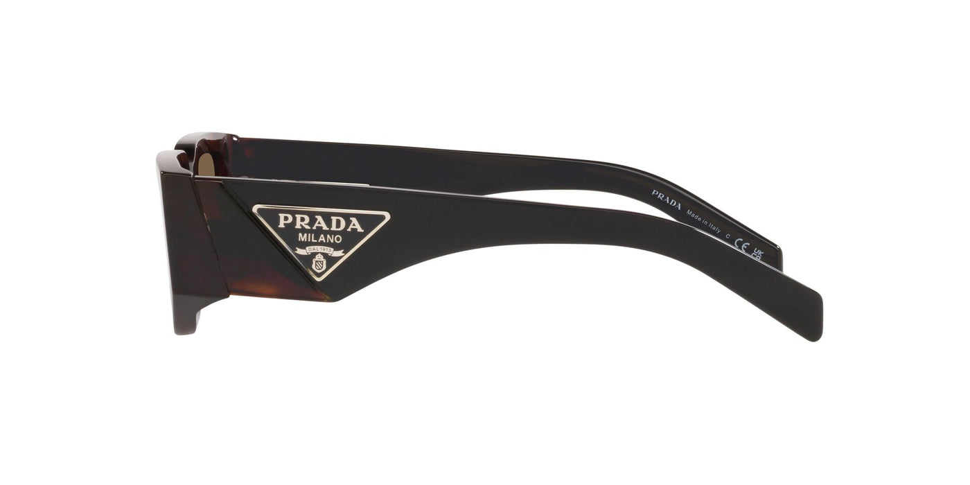 Prada SPR09Z Tortoise/Dark Brown #colour_tortoise-dark-brown