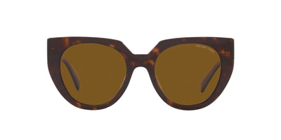 #colour_tortoise-dark-brown-polarised