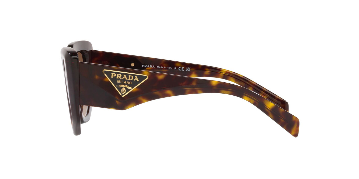 Prada SPR14Z Rectangle Sunglasses | Fashion Eyewear US