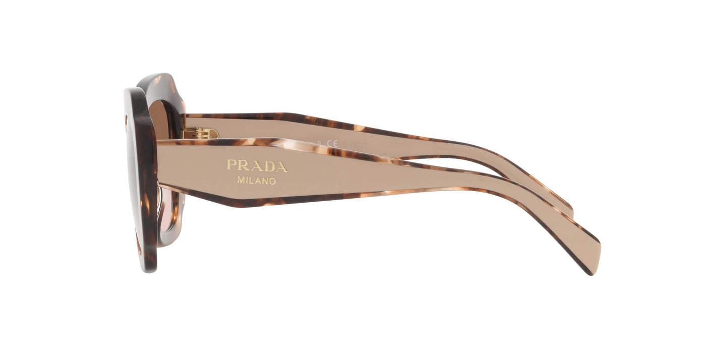 Prada SPR16Y Havana/Brown Gradient #colour_havana-brown-gradient