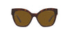 #colour_tortoise-polarised-dark-brown