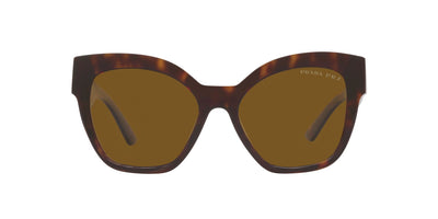 #colour_tortoise-polarised-dark-brown