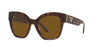 #colour_tortoise-polarised-dark-brown