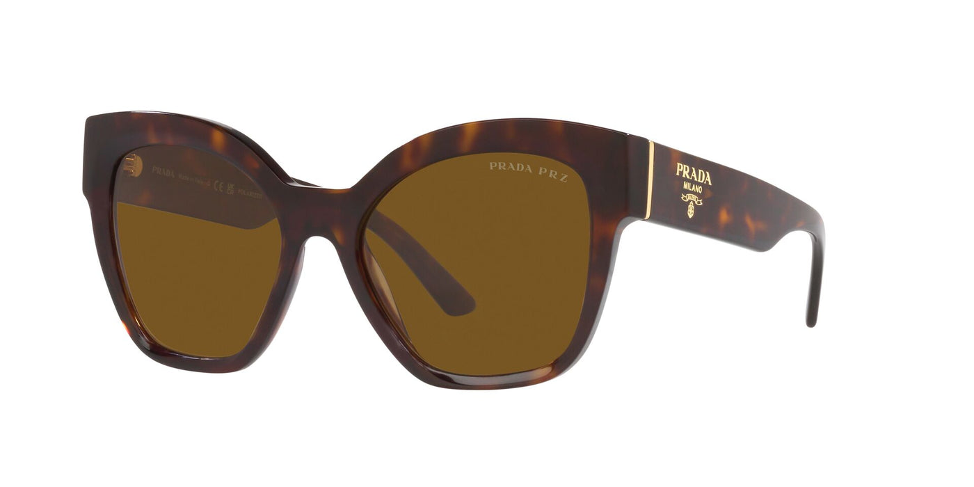 #colour_tortoise-polarised-dark-brown