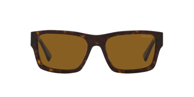 #colour_tortoise-brown