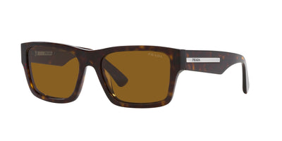 #colour_tortoise-brown