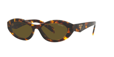 Prada SPR26Z Sage-Honey Tortoise/Dark Brown #colour_sage-honey-tortoise-dark-brown