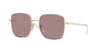 Prada SPR55Y Pale Gold/Light Purple Brown #colour_pale-gold-light-purple-brown