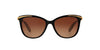 Ralph by Ralph Lauren RA5203 Shiny Black On Nude & Gold/Polarised Gradient Brown #colour_shiny-black-on-nude-gold-polarised-gradient-brown
