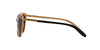 Ralph by Ralph Lauren RA5203 Shiny Black On Nude & Gold/Polarised Gradient Brown #colour_shiny-black-on-nude-gold-polarised-gradient-brown