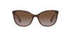 Ralph by Ralph Lauren RA5282U Dark Havana/Gradient Brown Polarised #colour_dark-havana-gradient-brown-polarised