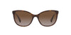 Ralph by Ralph Lauren RA5282U Dark Havana/Gradient Brown Polarised #colour_dark-havana-gradient-brown-polarised