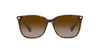 Ralph by Ralph Lauren RA5293 Shiny Dark Havana/Gradient Brown #colour_shiny-dark-havana-gradient-brown