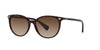 Ralph by Ralph Lauren RA5296 Shiny Dark Havana/Gradient Brown #colour_shiny-dark-havana-gradient-brown