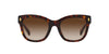 Ralph by Ralph Lauren RA5301U Shiny Dark Havana/Brown Gradient #colour_shiny-dark-havana-brown-gradient