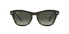 Ray-Ban RB0707S Transparent Olive Green/Grey Gradient #colour_transparent-olive-green-grey-gradient