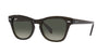 Ray-Ban RB0707S Transparent Olive Green/Grey Gradient #colour_transparent-olive-green-grey-gradient