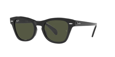 Ray-Ban RB0707S Black/Green #colour_black-green