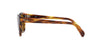 Ray-Ban RB0707S Striped Havana/Brown #colour_striped-havana-brown