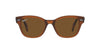 Ray-Ban RB0880S Transparent Brown/Brown Polarised #colour_transparent-brown-brown-polarised