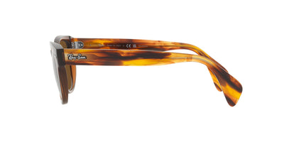 Ray-Ban RB0880S Transparent Brown/Brown Polarised #colour_transparent-brown-brown-polarised