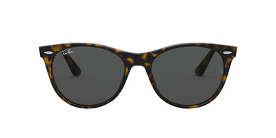 Ray-Ban Wayfarer II Evolve RB2185 Havana On Transparent Brown/Dark Grey #colour_havana-on-transparent-brown-dark-grey