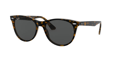 Ray-Ban Wayfarer II Evolve RB2185 Havana On Transparent Brown/Dark Grey #colour_havana-on-transparent-brown-dark-grey