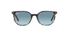 Ray-Ban Elliot RB2197 Yellow & Blue Havana/Blue Gradient Grey #colour_yellow-blue-havana-blue-gradient-grey
