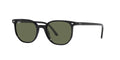Ray-Ban Elliot RB2197