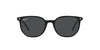 Ray-Ban Elliot RB2197 Black/Polarised Black #colour_black-polarised-black