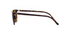 Ray-Ban Elliot RB2197 Havana/Brown #colour_havana-brown