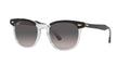 Ray-Ban Hawkeye RB2298