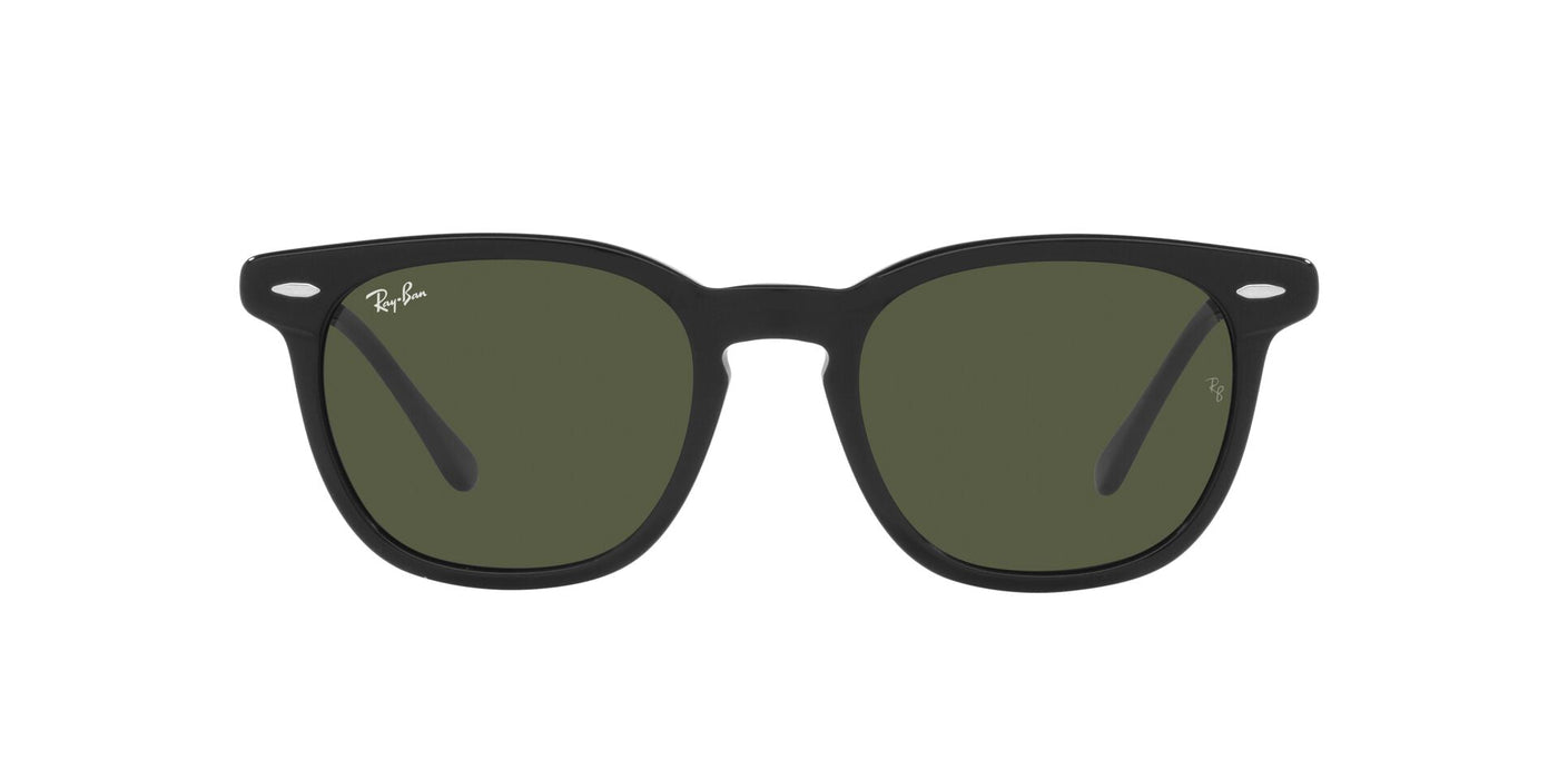 Ray-Ban Hawkeye RB2298 Black/Green #colour_black-green