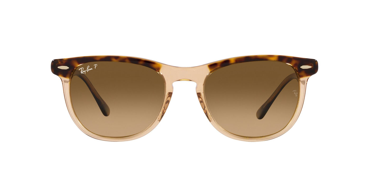 Ray-Ban Eagleeye RB2398 Havana On Transparent Brown/Brown #colour_havana-on-transparent-brown-brown