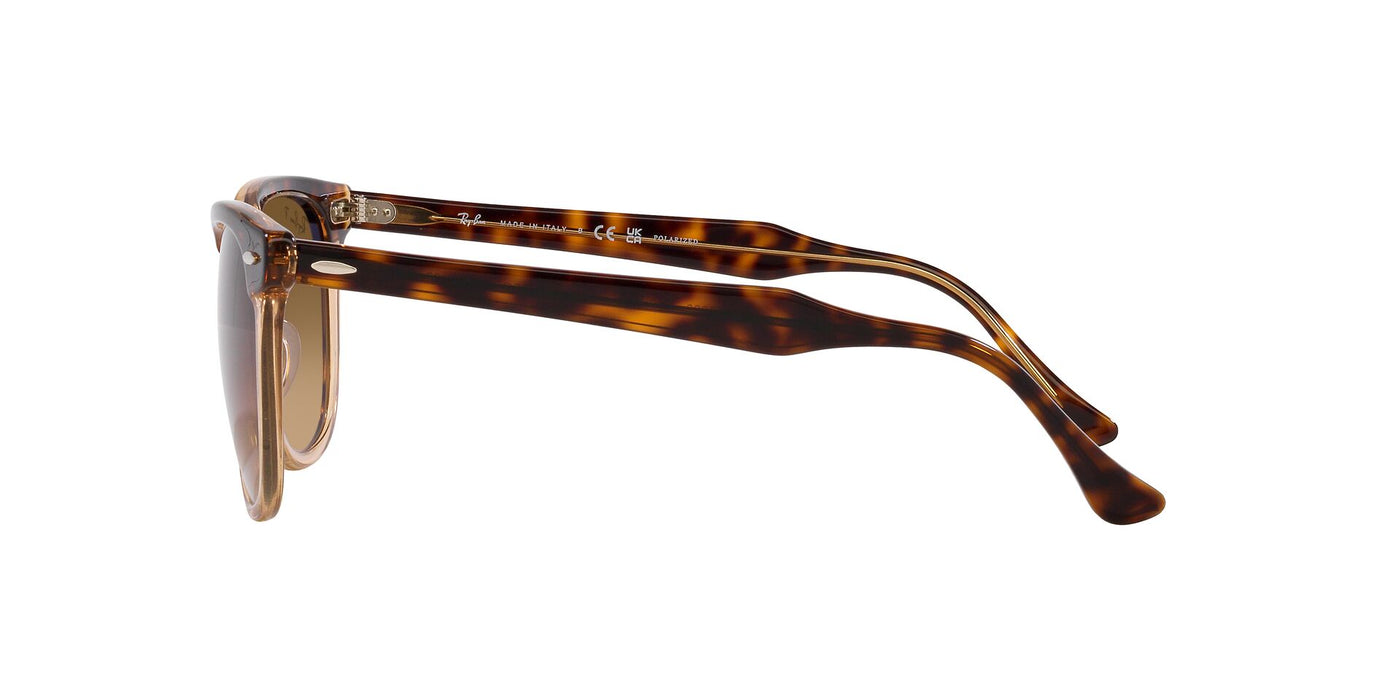 Ray-Ban Eagleeye RB2398 Havana On Transparent Brown/Brown #colour_havana-on-transparent-brown-brown