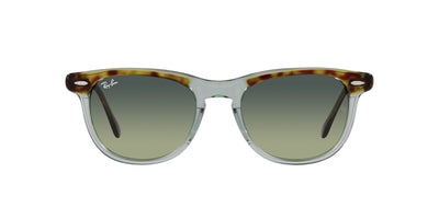 Ray-Ban Eagleeye RB2398 Havana On Transparent Green/Green Vintage #colour_havana-on-transparent-green-green-vintage