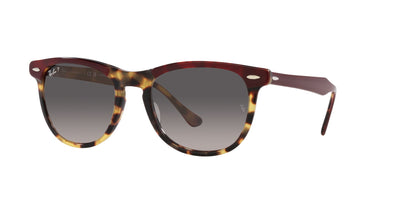 Ray-Ban Eagleeye RB2398 Bordeaux On Yellow Havana/Grey #colour_bordeaux-on-yellow-havana-grey