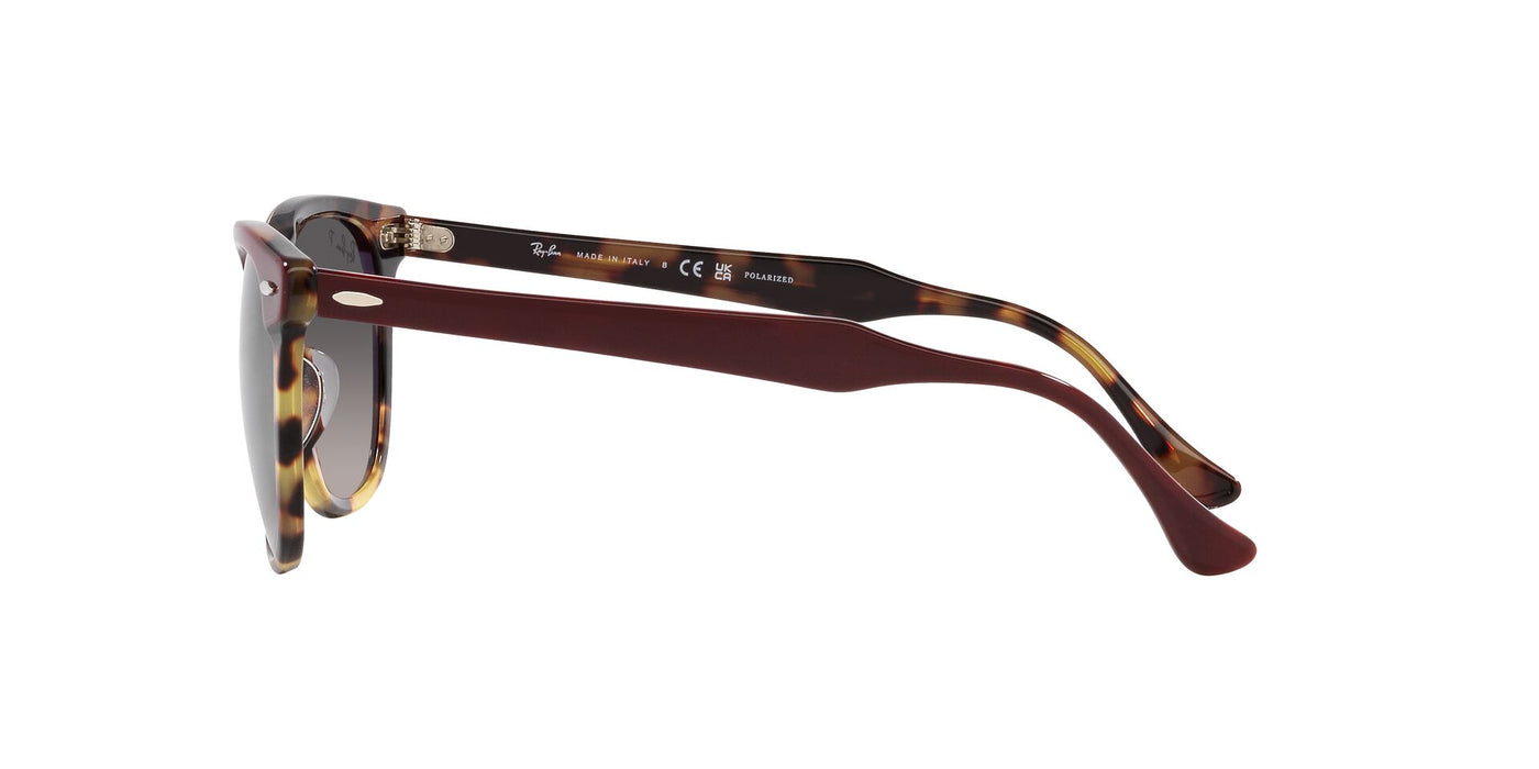 Ray-Ban Eagleeye RB2398 Bordeaux On Yellow Havana/Grey #colour_bordeaux-on-yellow-havana-grey