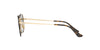 Ray-Ban Blaze RB3579N Black/Green #colour_black-green