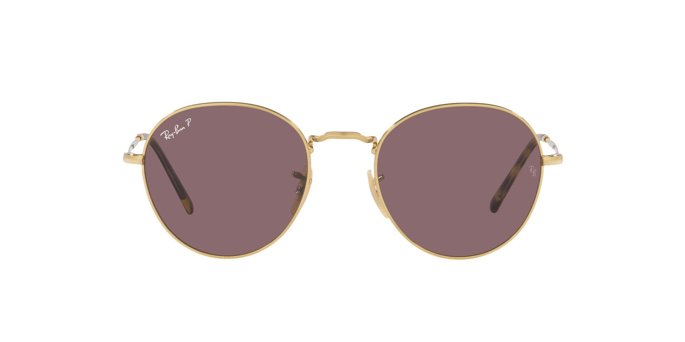 Ray-Ban David RB3582 Arista/Dark Violet Polarised #colour_arista-dark-violet-polarised