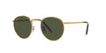 Ray-Ban New Round RB3637