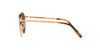 Ray-Ban New Round RB3637 Rose Gold/Brown #colour_rose-gold-brown