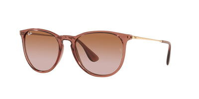 Ray-Ban Erika RB4171 Transparent Light Brown/Gradient Brown #colour_transparent-light-brown-gradient-brown