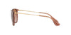 Ray-Ban Erika RB4171 Transparent Light Brown/Gradient Brown #colour_transparent-light-brown-gradient-brown