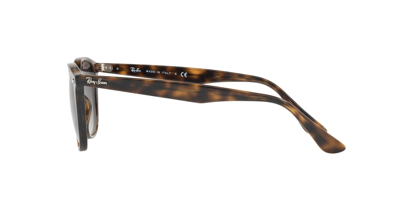 Ray-Ban RB4258 Dark Tortoise/Grey #colour_dark-tortoise-grey