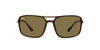 Ray-Ban RB4375 Havana/Dark Brown #colour_havana-dark-brown