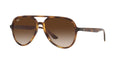 Ray-Ban RB4376